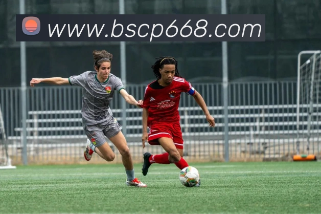 百胜彩票官网平台登录入口APP 封面图